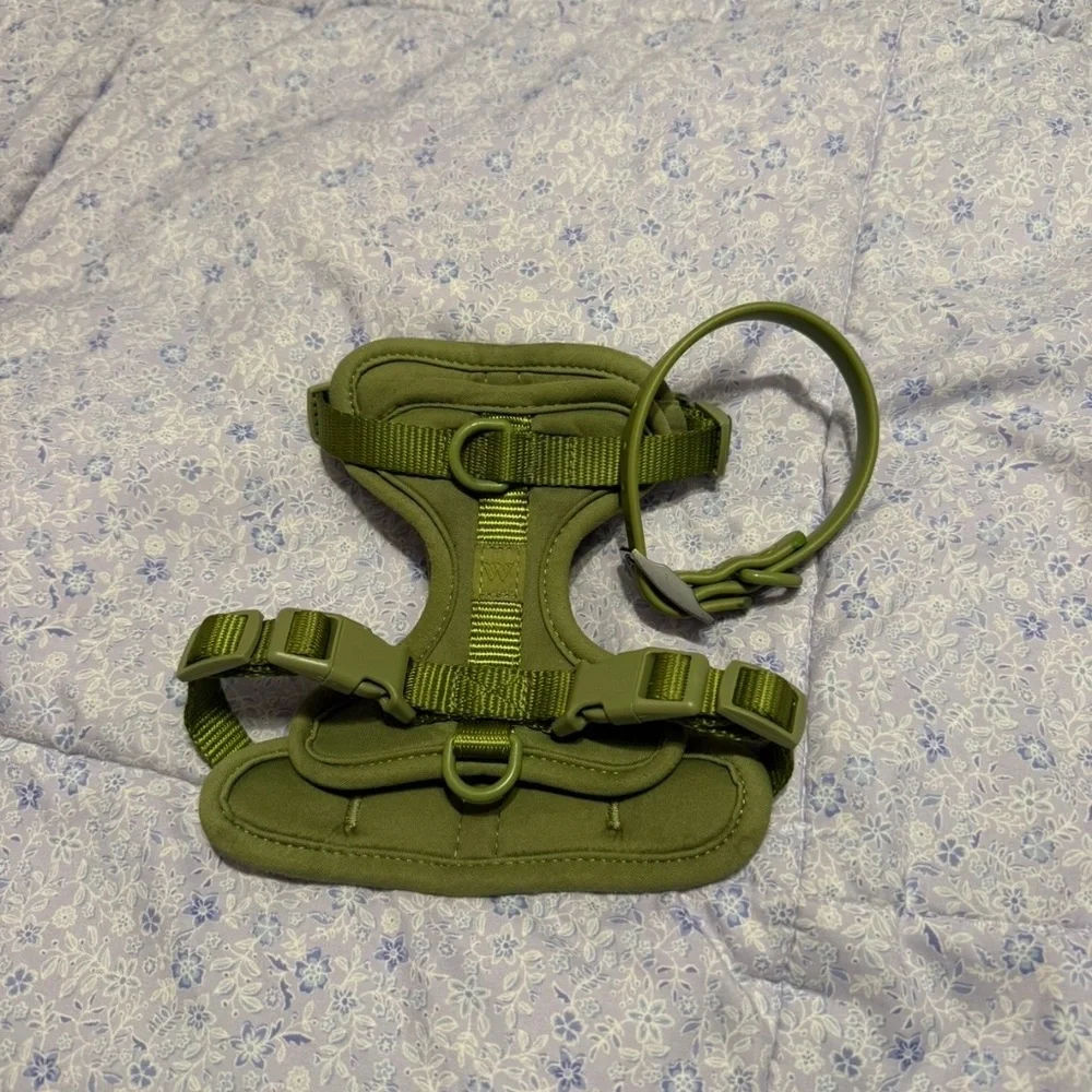 Wildone Harness and Collar
